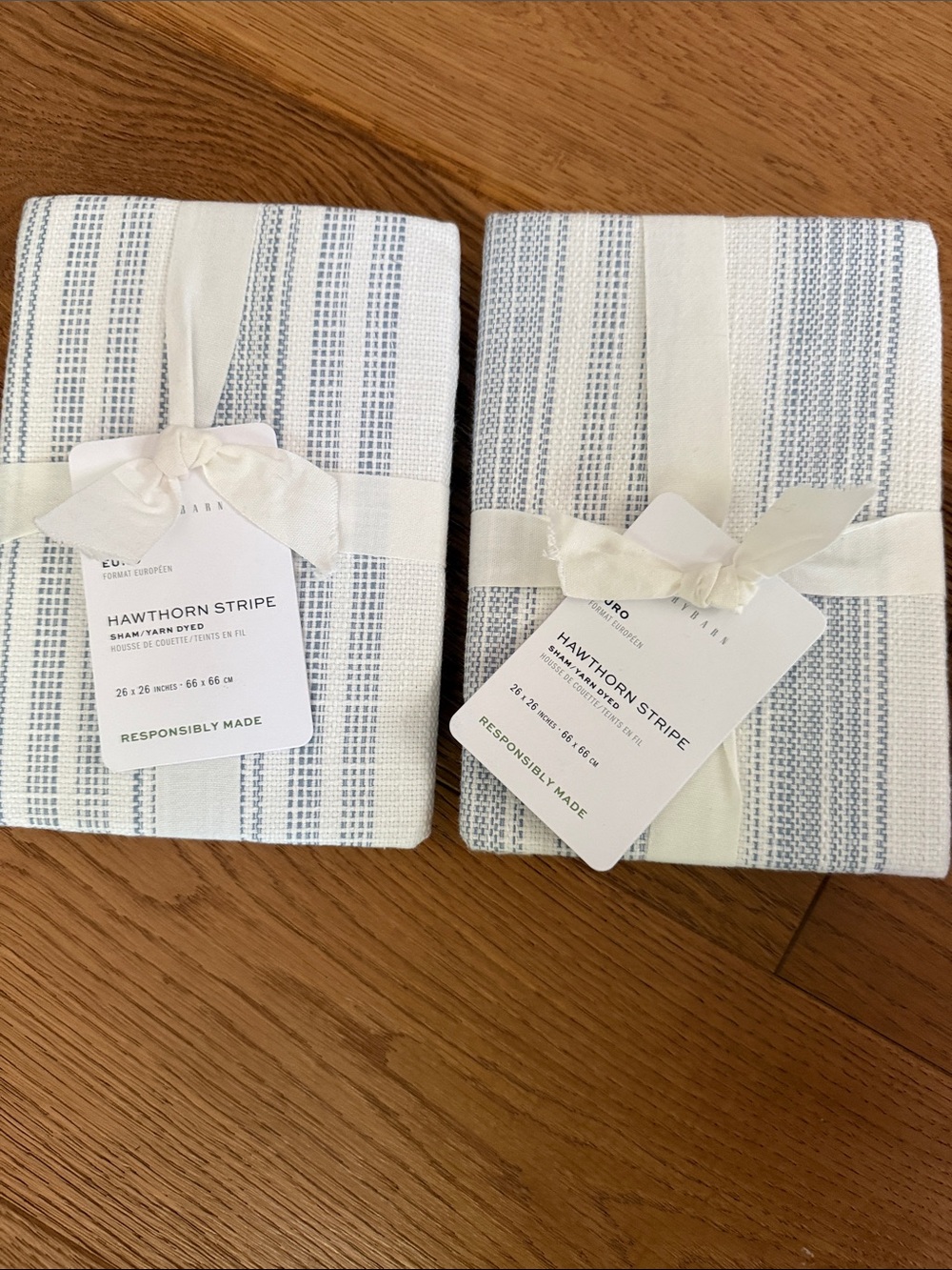 Pottery Barn Striped Duvet Cover and 2 Euro Shams in Light Blue and White - Picture 2 of 3